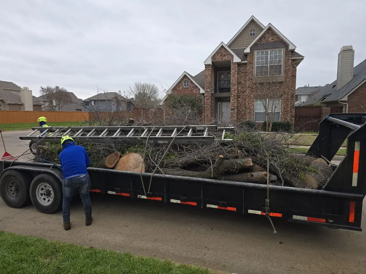 Expert Lot Clearing with proper safety equipment in Townsend